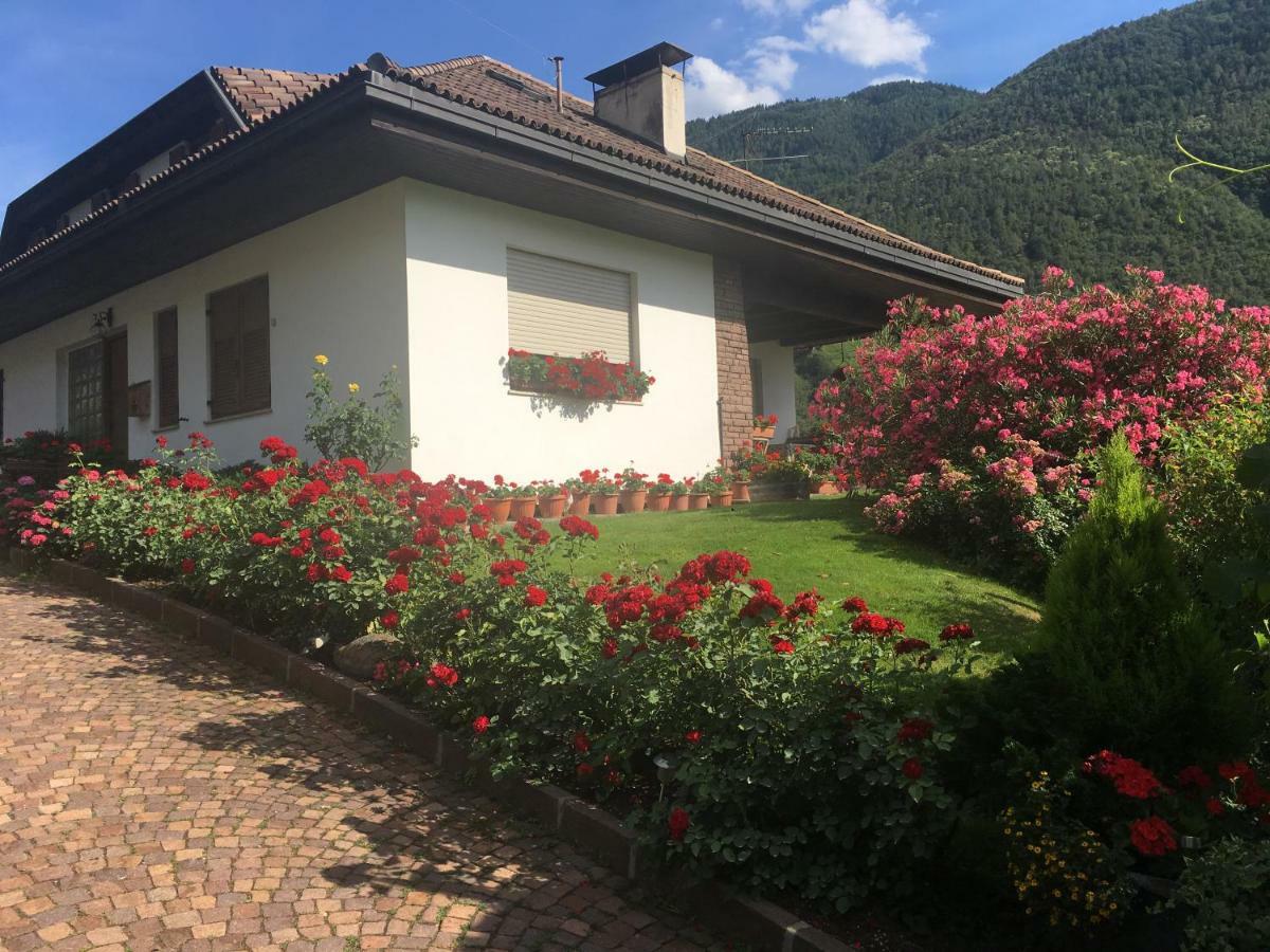 Weingut Zundlhof Villa Bolzano Luaran gambar